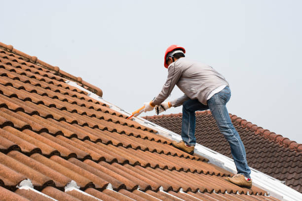 Best Slate Roofing  in Denmark, SC
