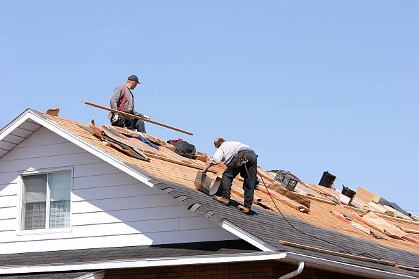 Best Roof Leak Repair  in Denmark, SC