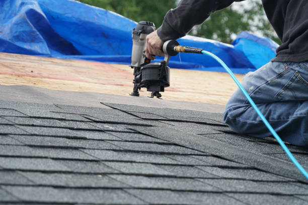Best Chimney Flashing Repair  in Denmark, SC