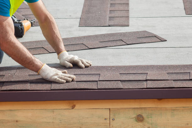 Best Roof Insulation Installation  in Denmark, SC
