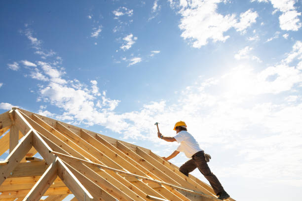 Best Green or Eco-Friendly Roofing Solutions  in Denmark, SC
